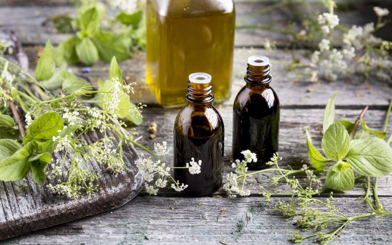 A energia sutil dos Florais de Bach: como ela atua no corpo e na mente