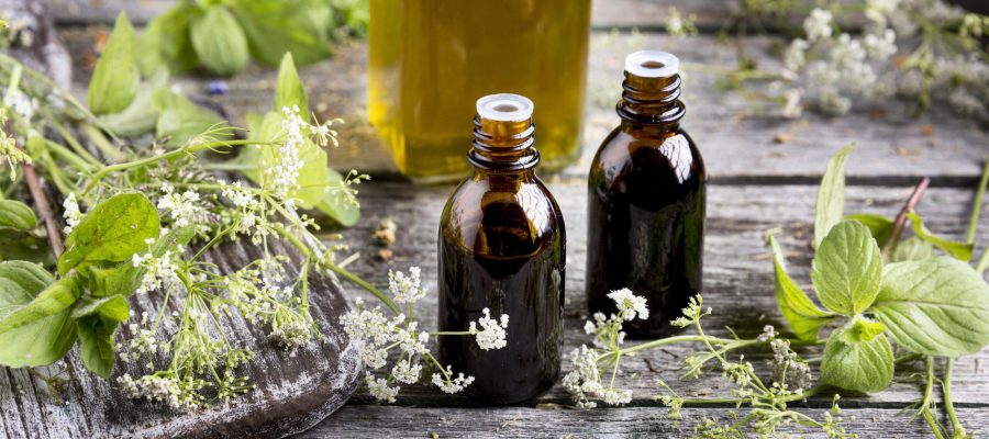 A energia sutil dos Florais de Bach: como ela atua no corpo e na mente